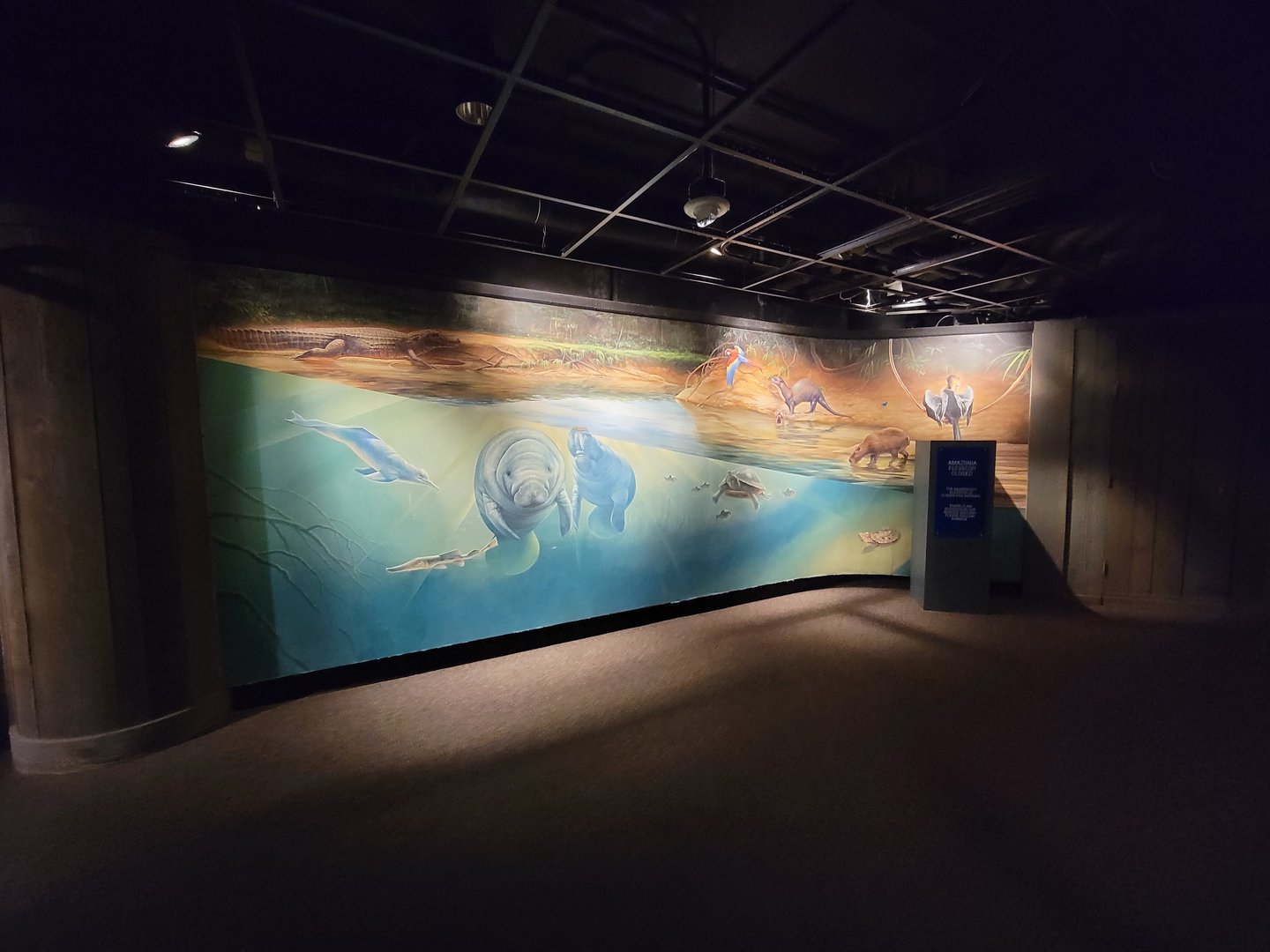 Smithsonian 2/22 - Amazonia, mural