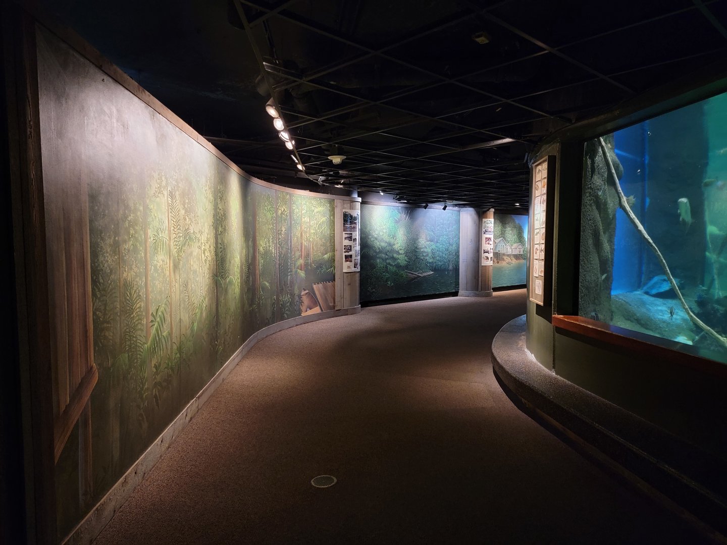 Smithsonian 2/22 - Amazonia, murals