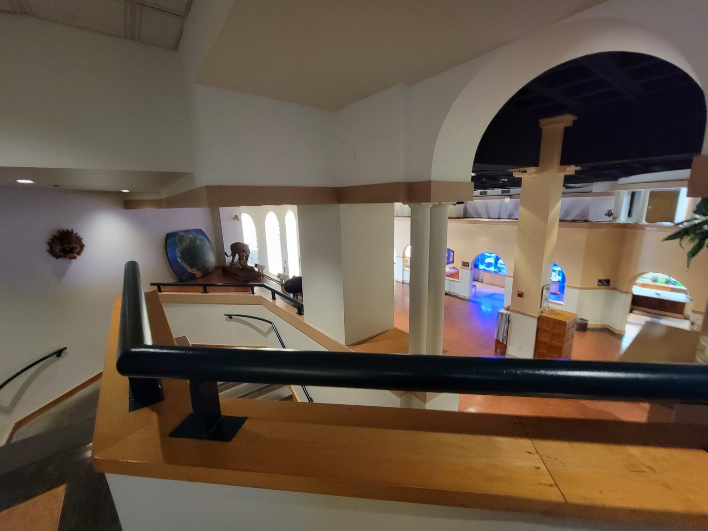 Smithsonian 2/22 - Amazonia, other staircase