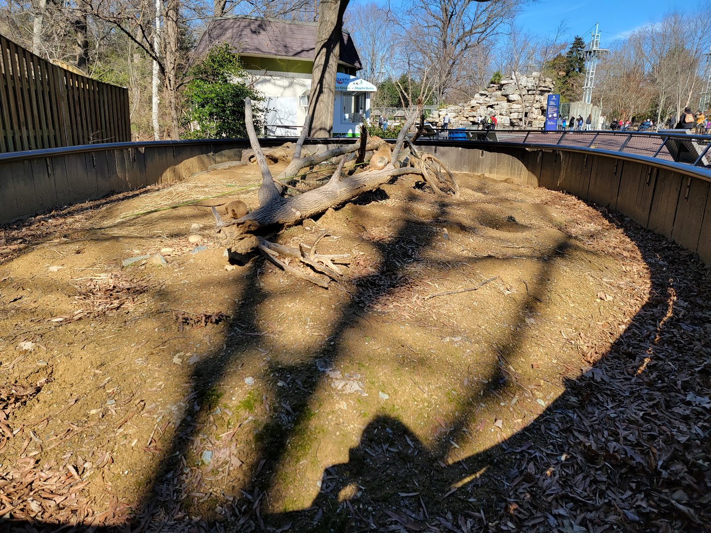 Smithsonian 2/22 - Amazonia, prairie dogs
