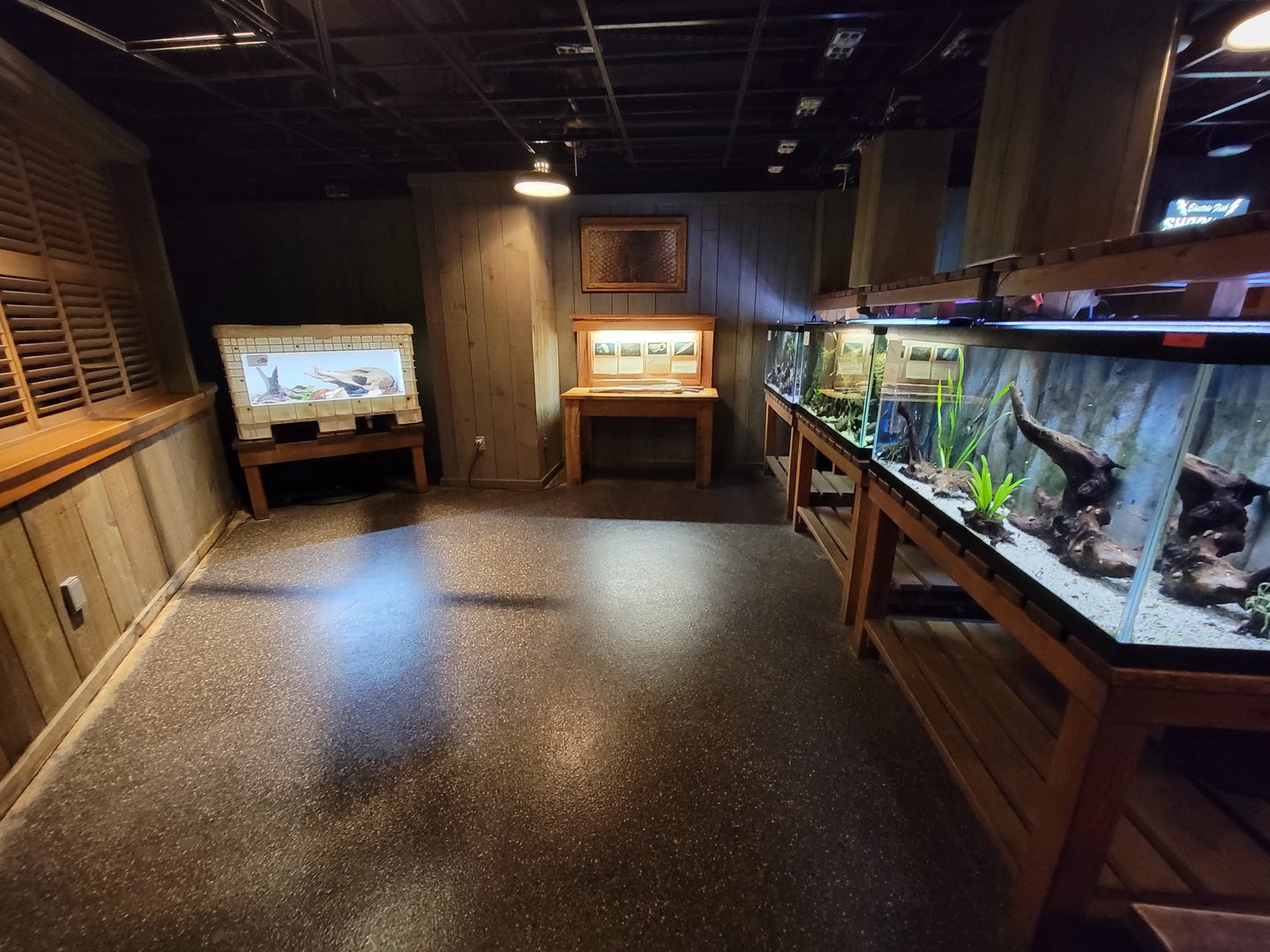 Smithsonian 2/22 - Amazonia, rainbow boa and fishes