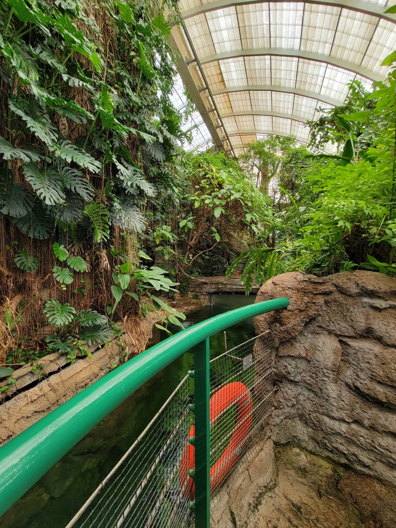 Smithsonian 2/22 - Amazonia, second floor free-flight area