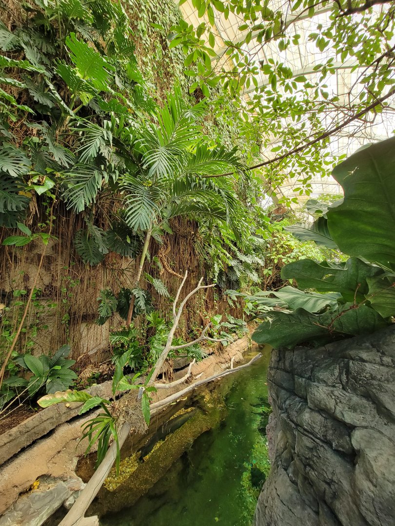 Smithsonian 2/22 - Amazonia, second floor free-flight area