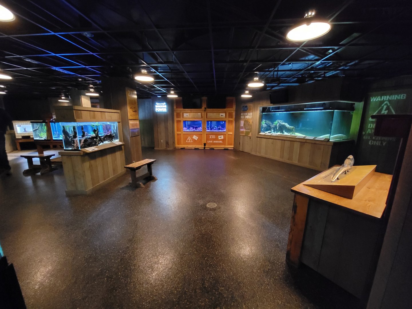 Smithsonian 2/22 - Amazonia, Shocking Power area