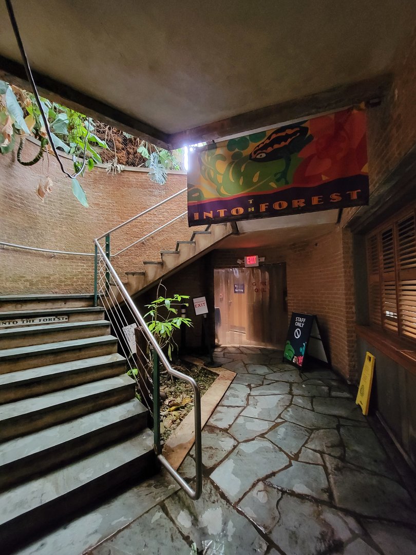 Smithsonian 2/22 - Amazonia, stairs to walk-through area