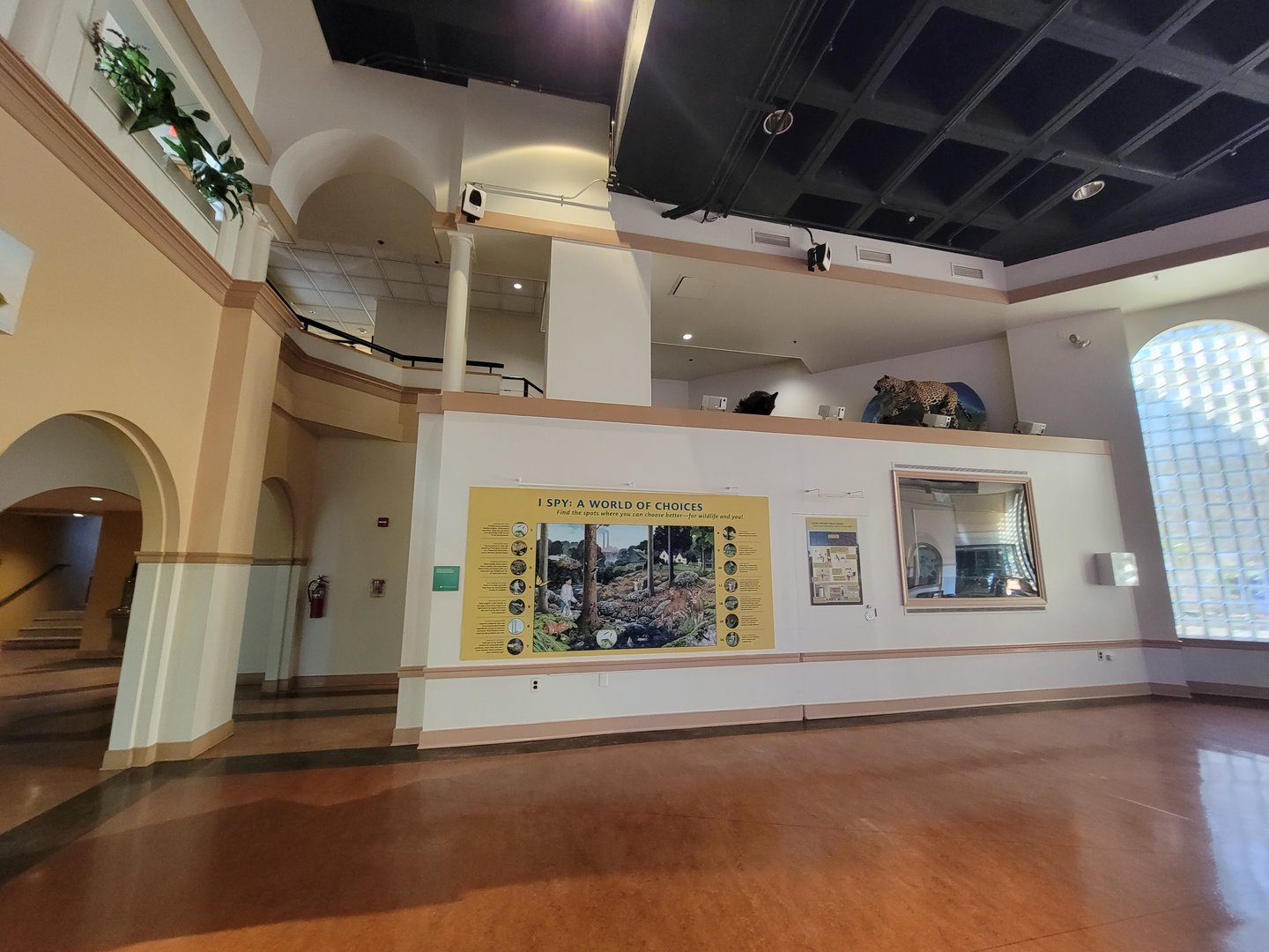 Smithsonian 2/22 - Amazonia, Stairs