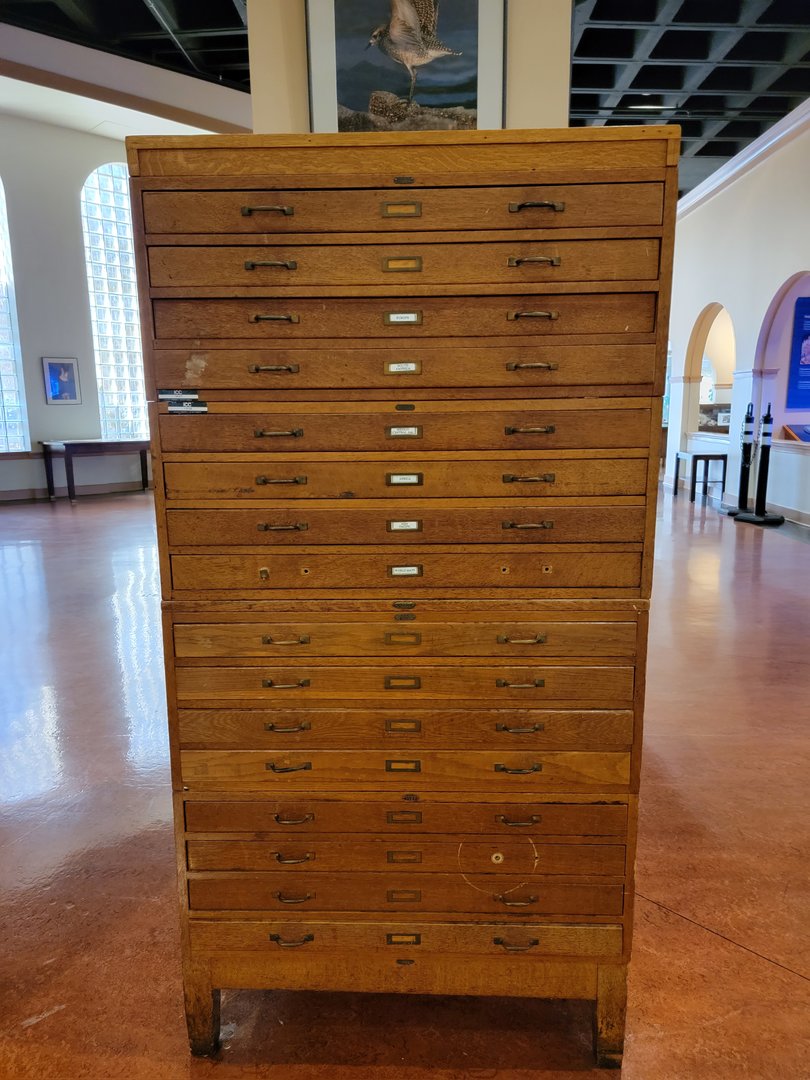 Smithsonian 2/22 - Amazonia, take the time to look in these drawers ;)