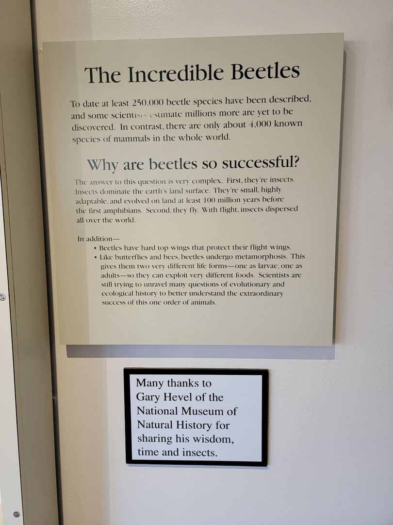 Smithsonian 2/22 - Amazonia, The Incredible Beetles