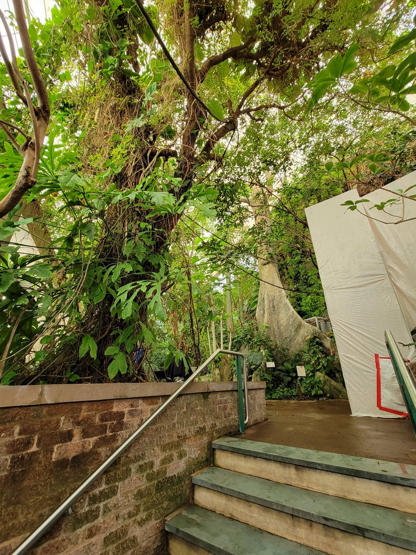 Smithsonian 2/22 - Amazonia, top of stairs