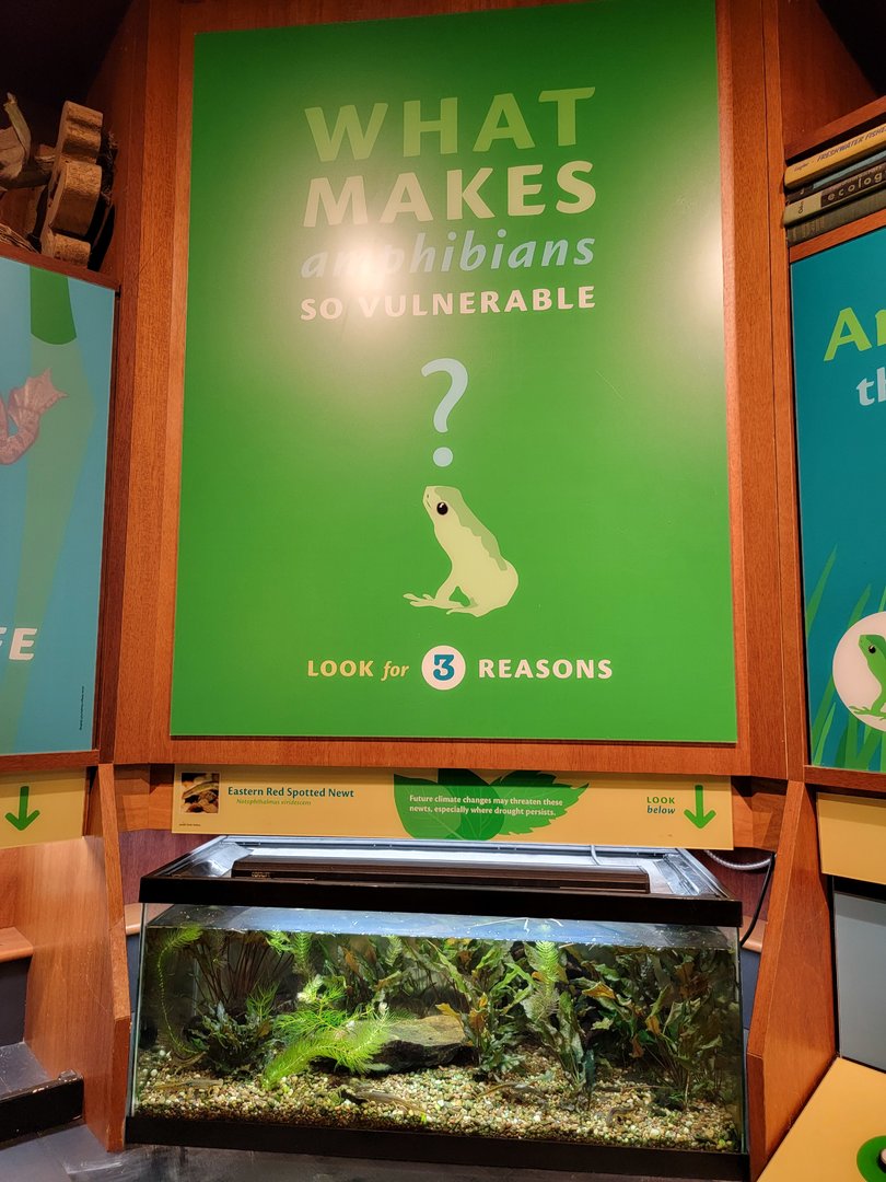 Smithsonian 2/22 - Amazonia, What makes amphibians so vulnerable?