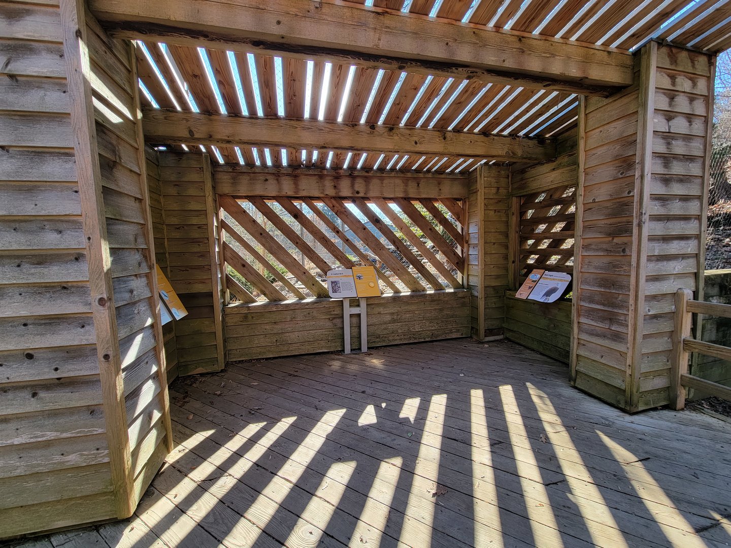 Smithsonian 2/22 - America Trail, bald eagle viewing