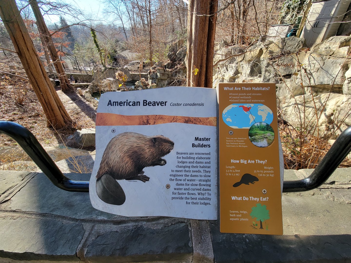 Smithsonian 2/22 - America Trail, Beaver signage example