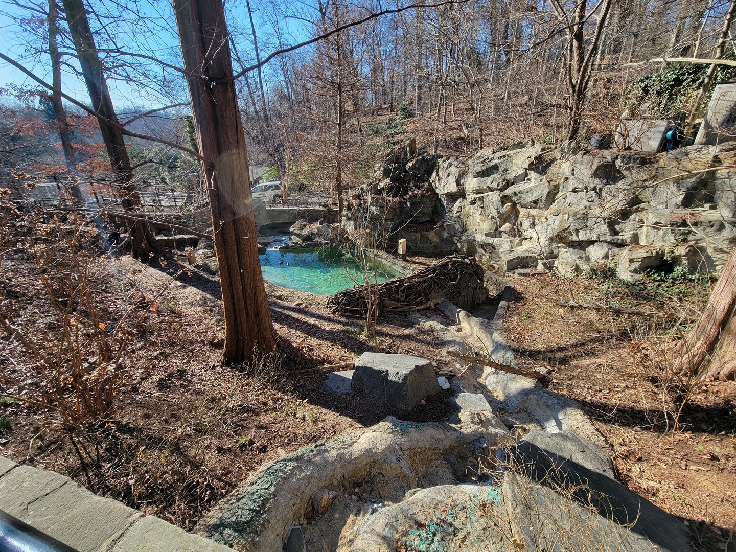 Smithsonian 2/22 - America Trail, Beavers from above