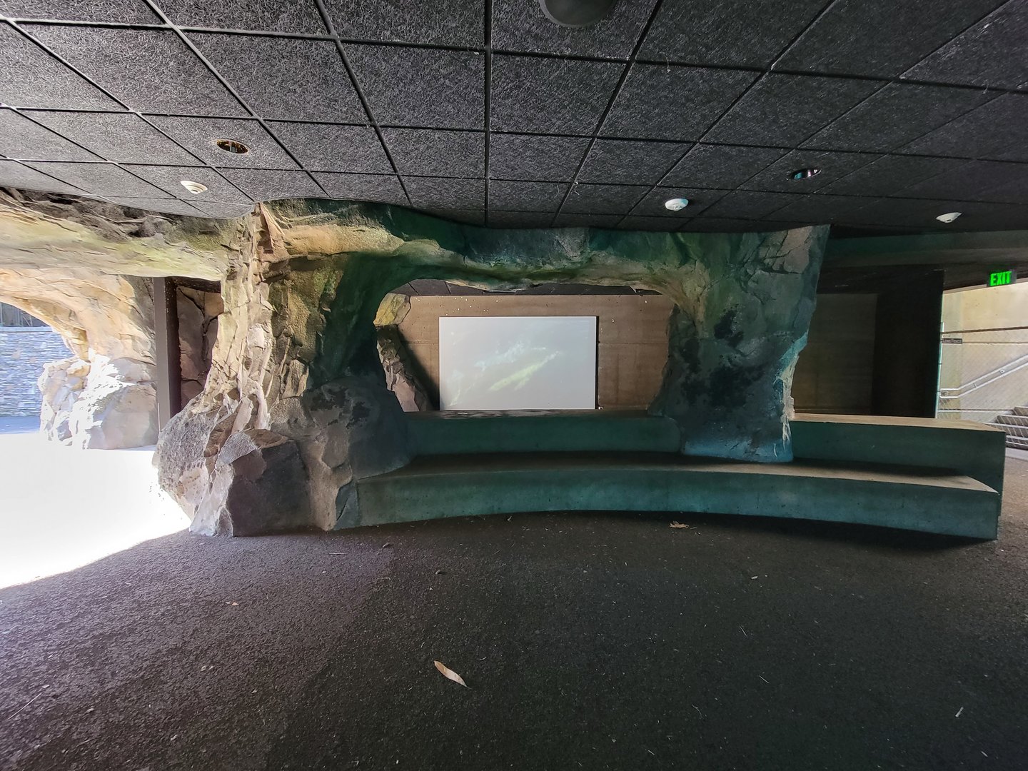 Smithsonian 2/22 - America Trail, California sea lion underwater seating and video