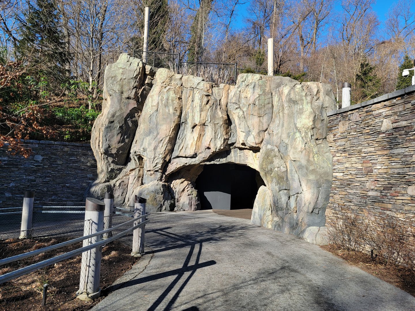 Smithsonian 2/22 - America Trail, California sea lion underwater viewing area