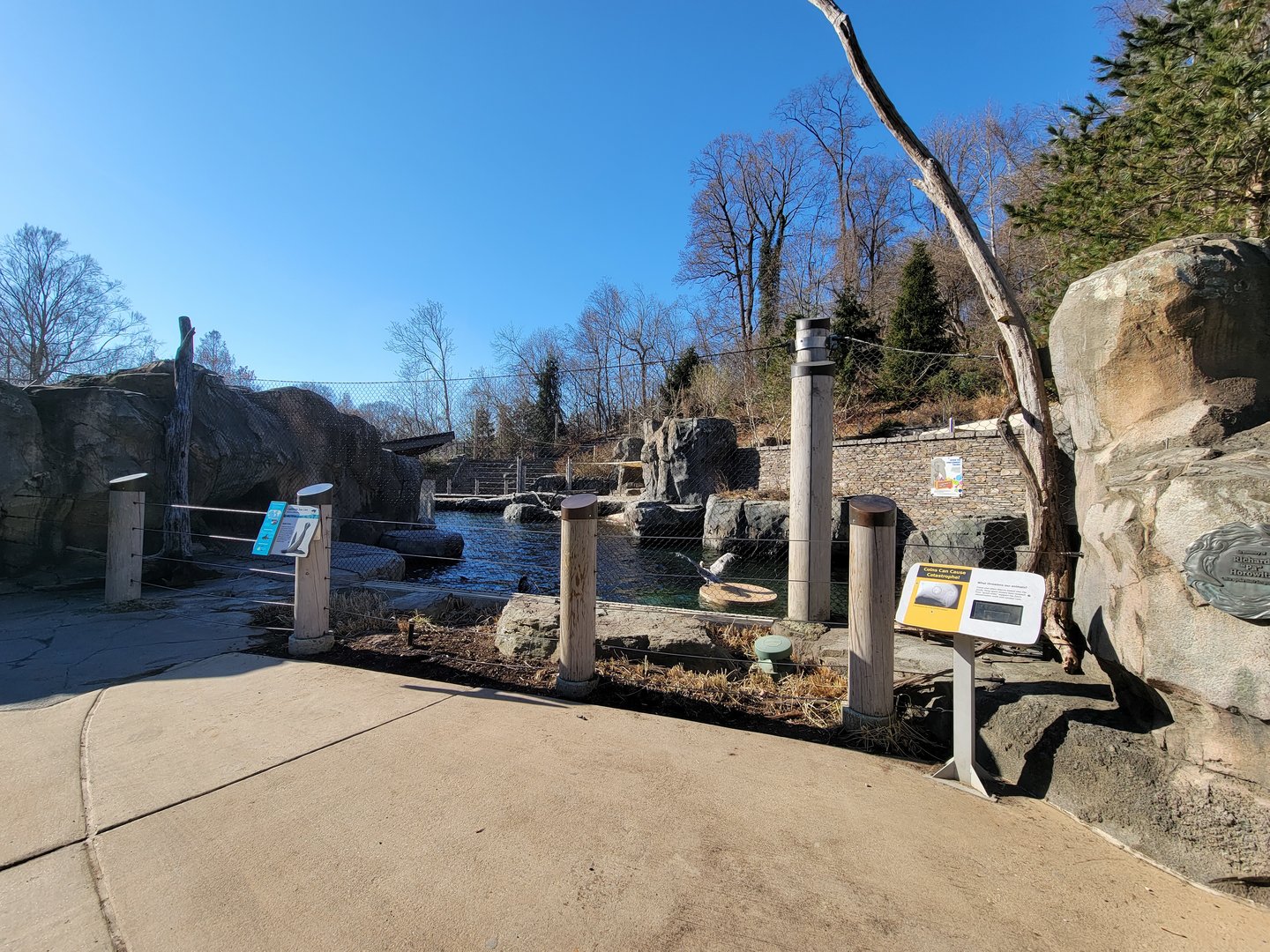 Smithsonian 2/22 - America Trail, California sea lions and brown pelicans, upper viewing