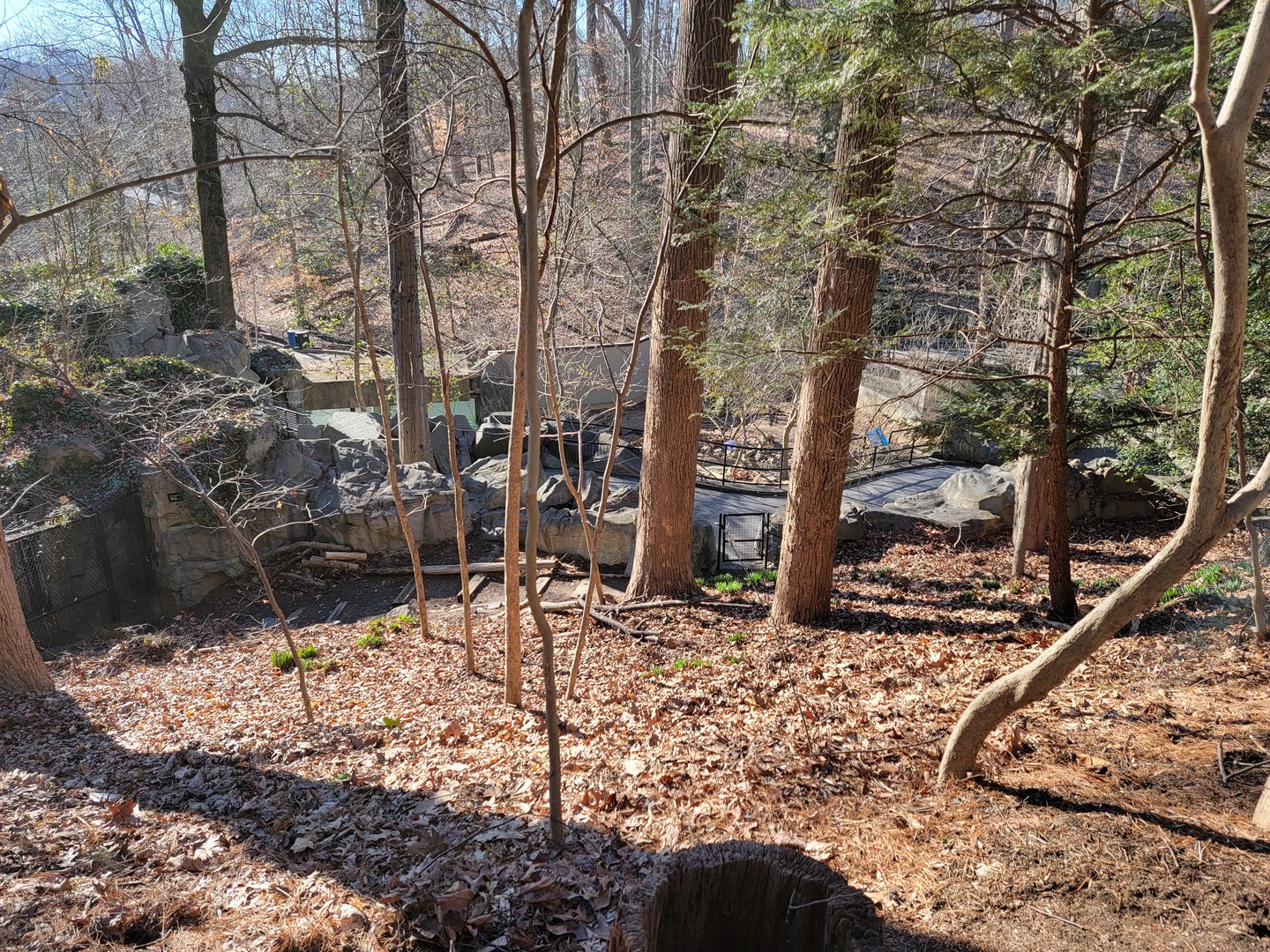 Smithsonian 2/22 - America Trail, from above