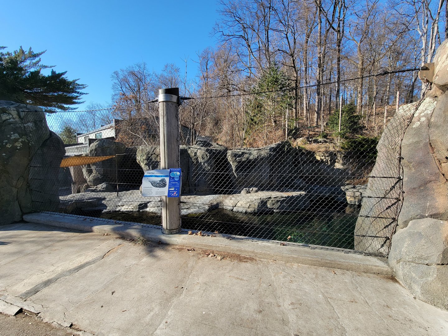 Smithsonian 2/22 - America Trail, harbor and gray seals