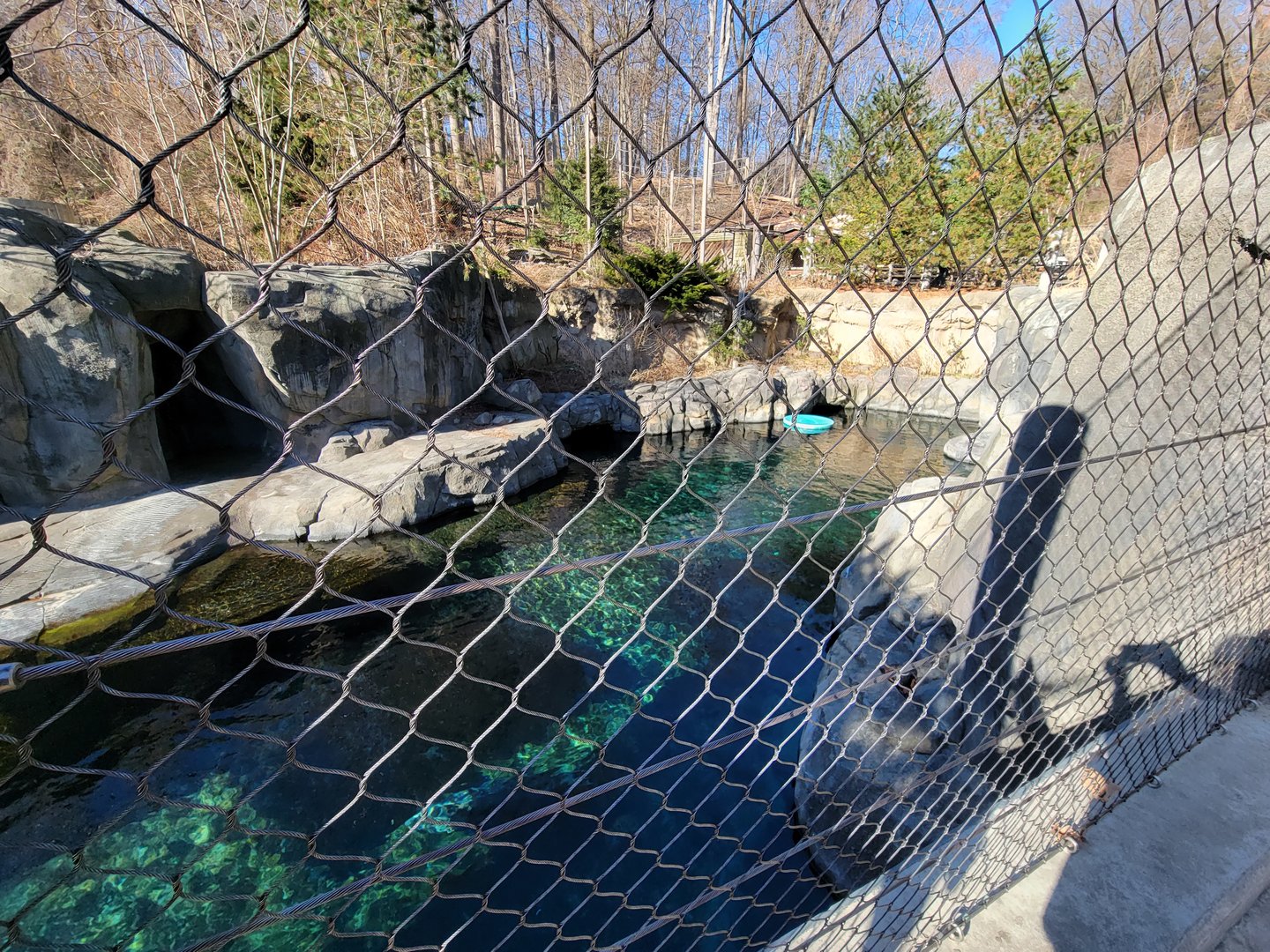 Smithsonian 2/22 - America Trail, harbor and gray seals