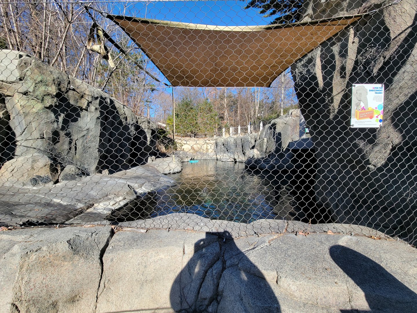 Smithsonian 2/22 - America Trail, harbor and gray seals