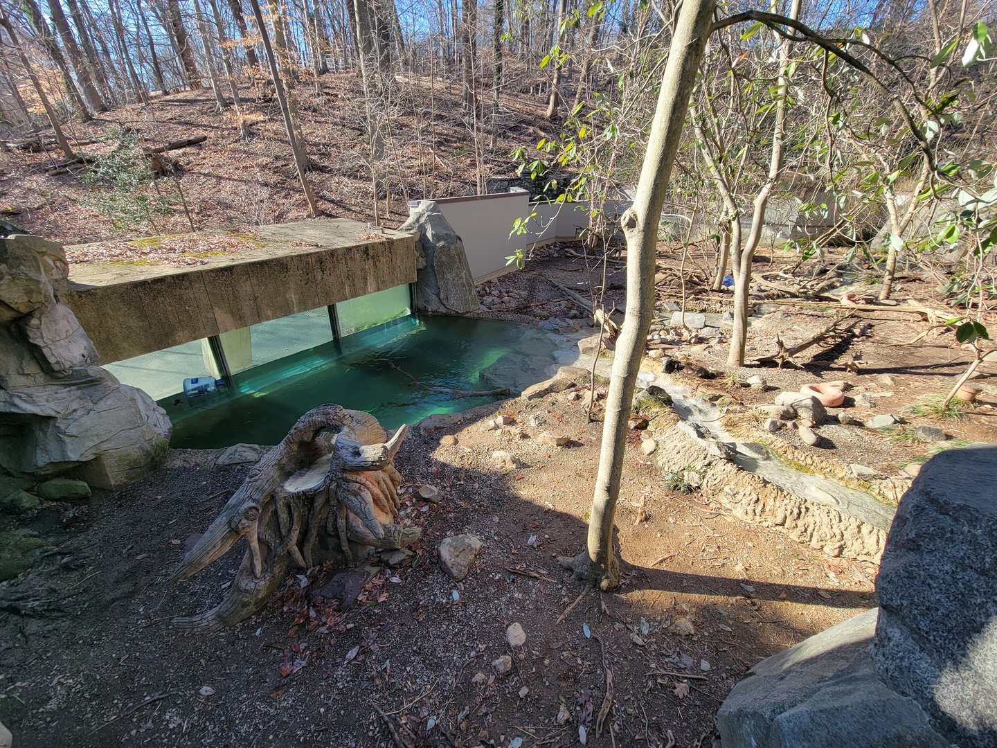 Smithsonian 2/22 - America Trail, North American river otters from above