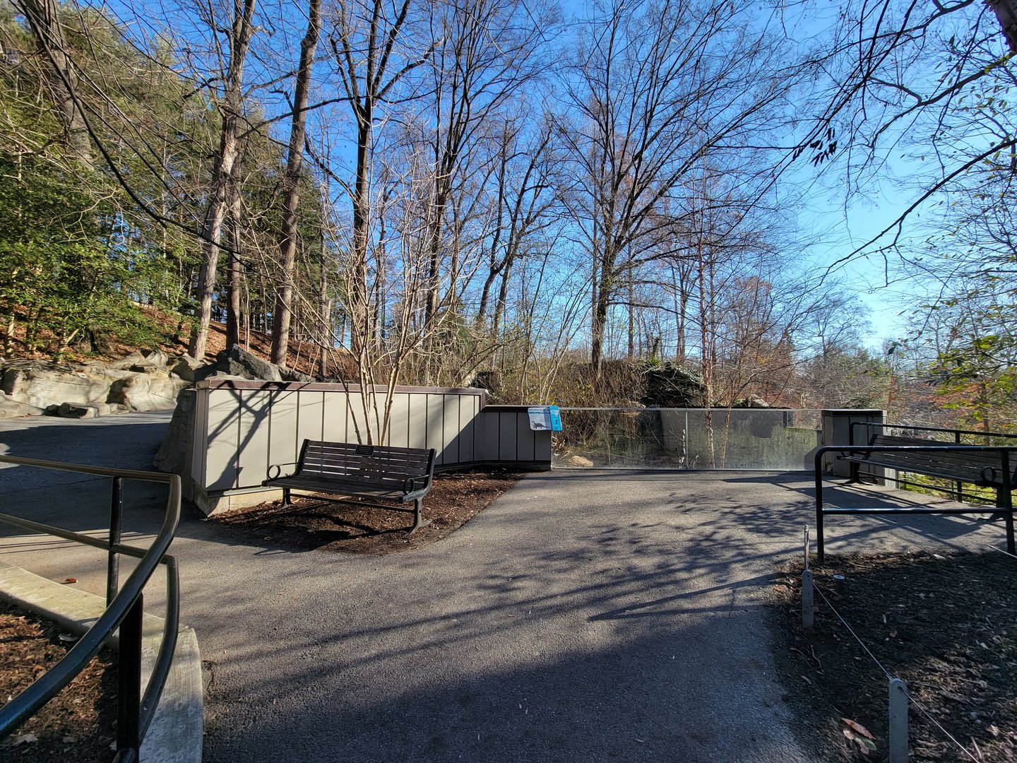 Smithsonian 2/22 - America Trail, North American river otters