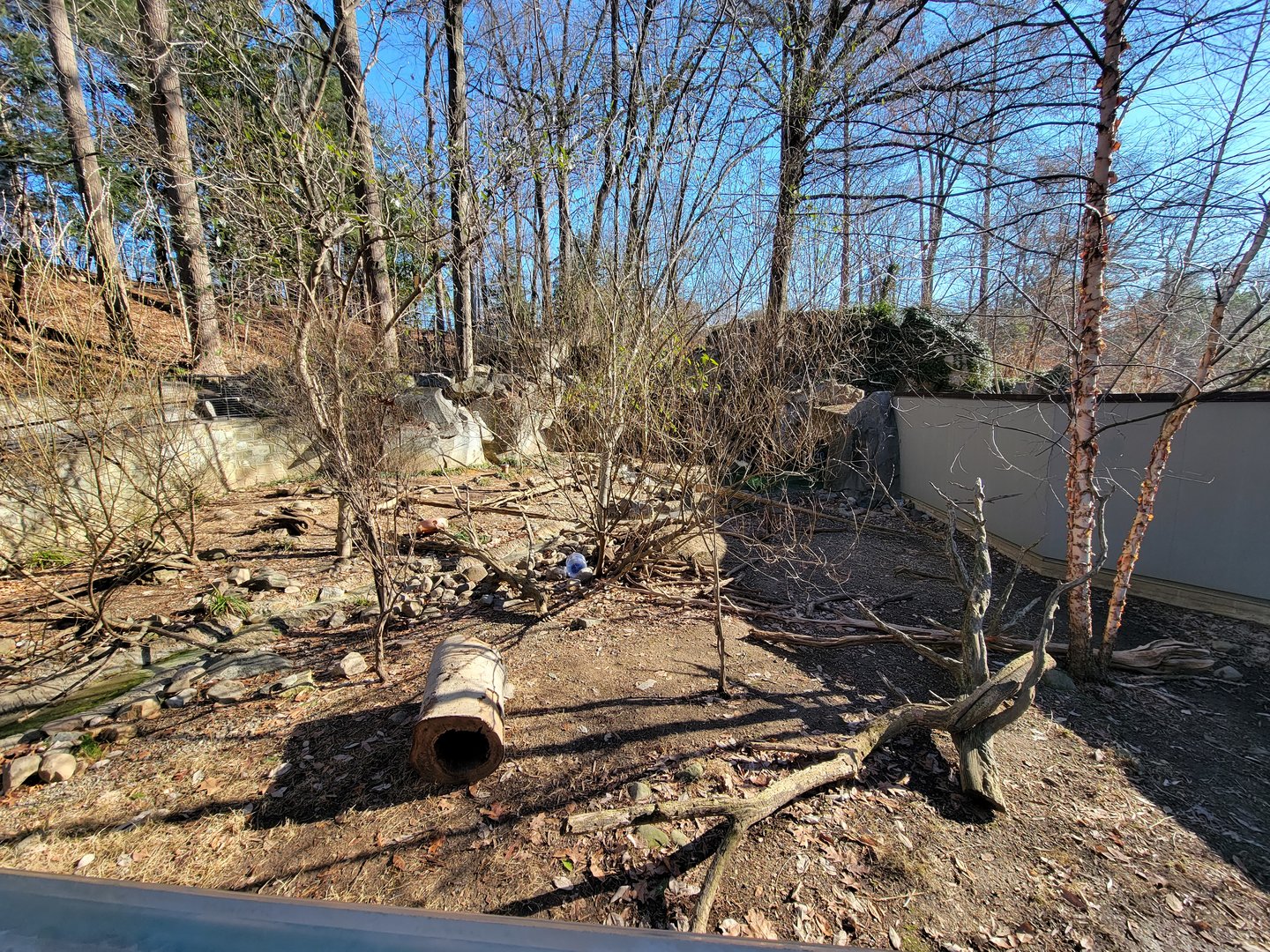 Smithsonian 2/22 - America Trail, North American river otters