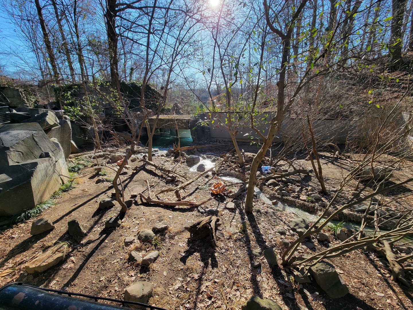 Smithsonian 2/22 - America Trail, North American river otters