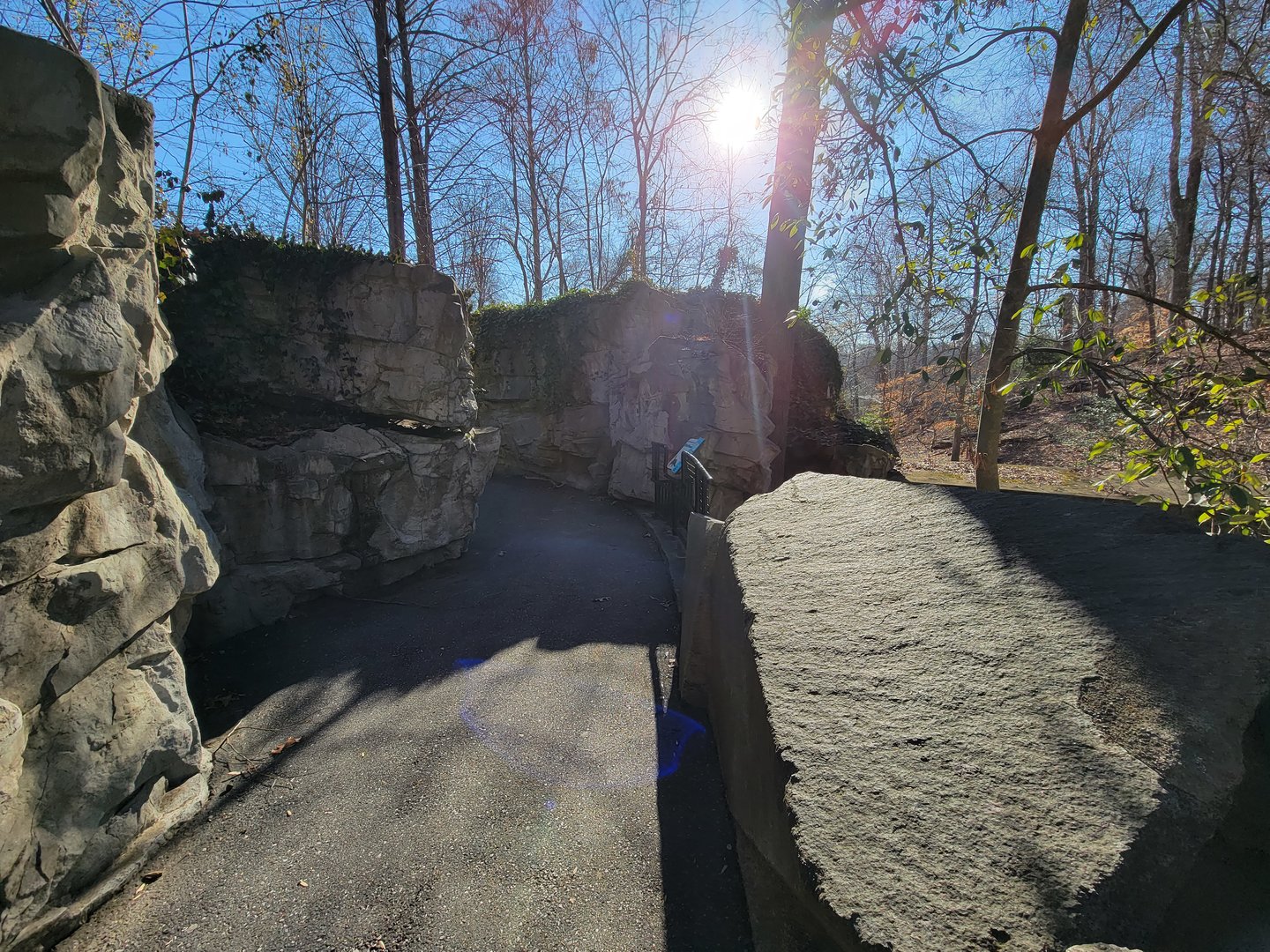 Smithsonian 2/22 - America Trail, path above/behind otters and beaver
