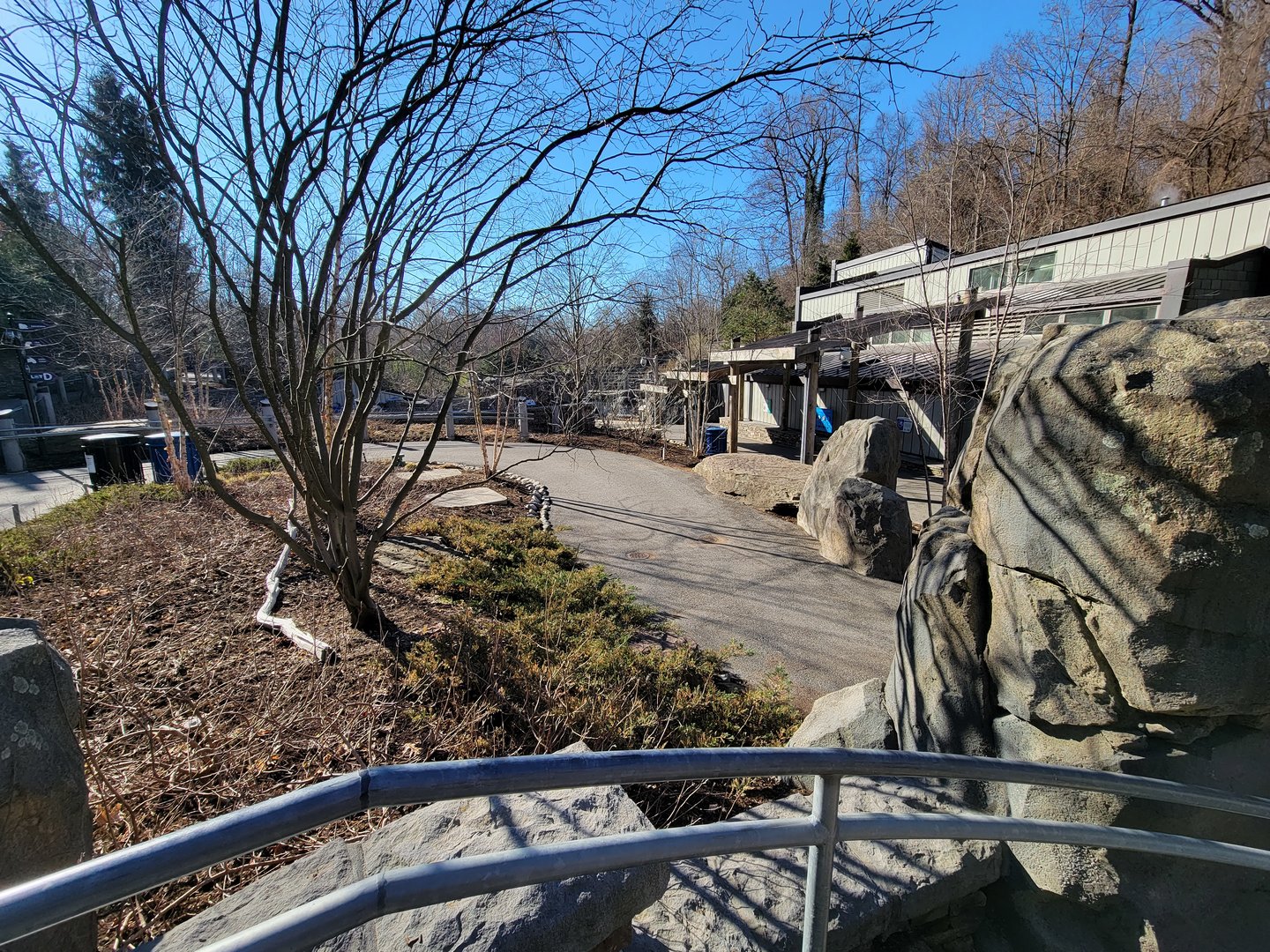 Smithsonian 2/22 - America Trail, pinniped area