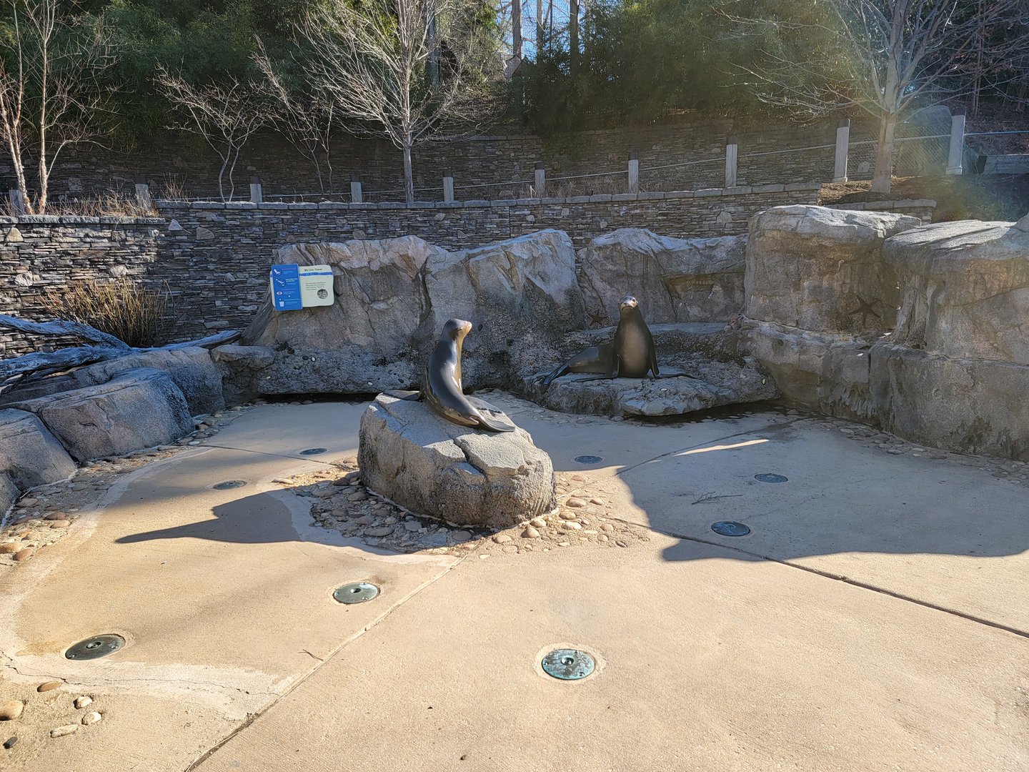 Smithsonian 2/22 - America Trail, pinniped splash pad
