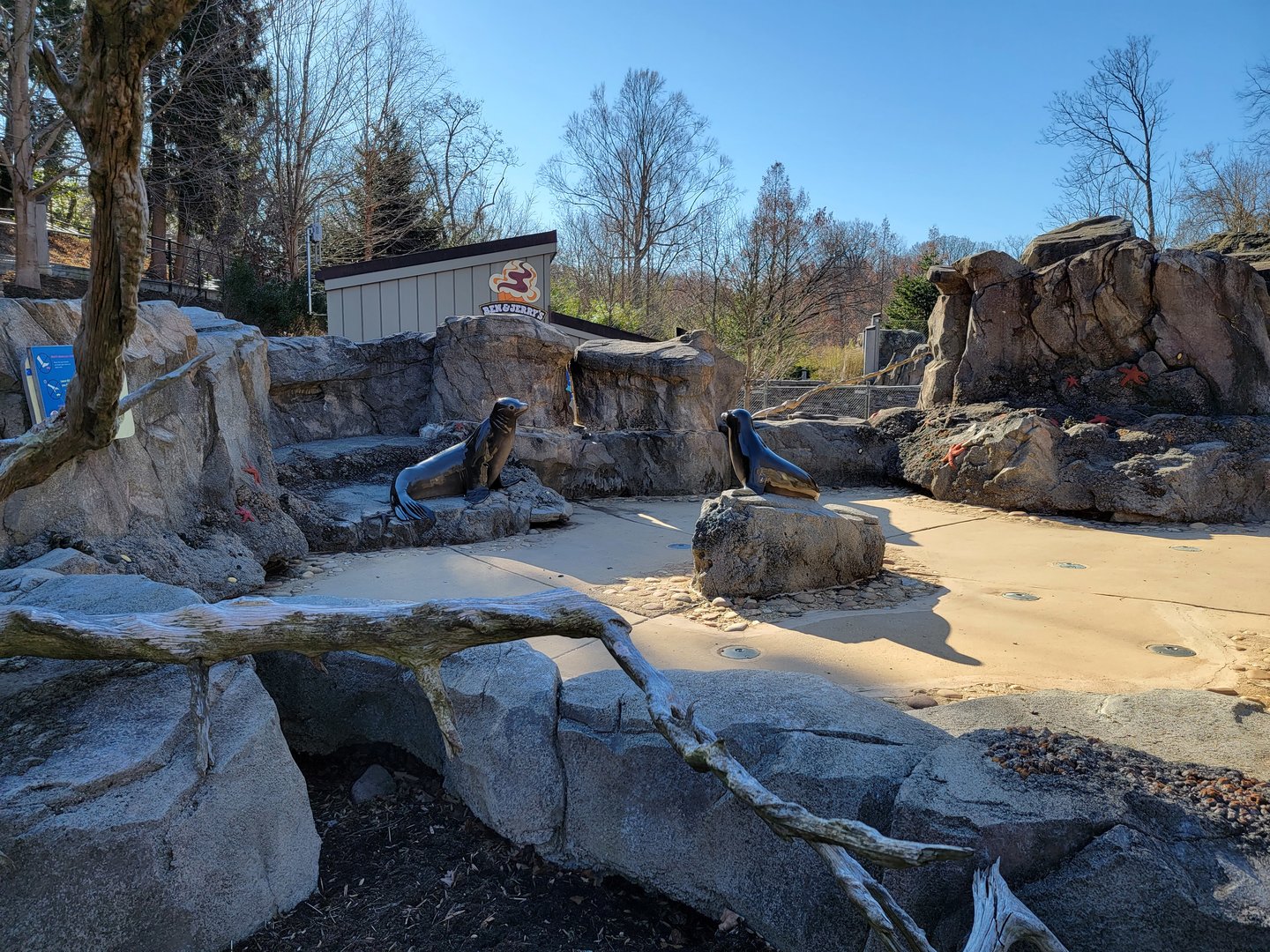 Smithsonian 2/22 - America Trail, pinniped splash pad