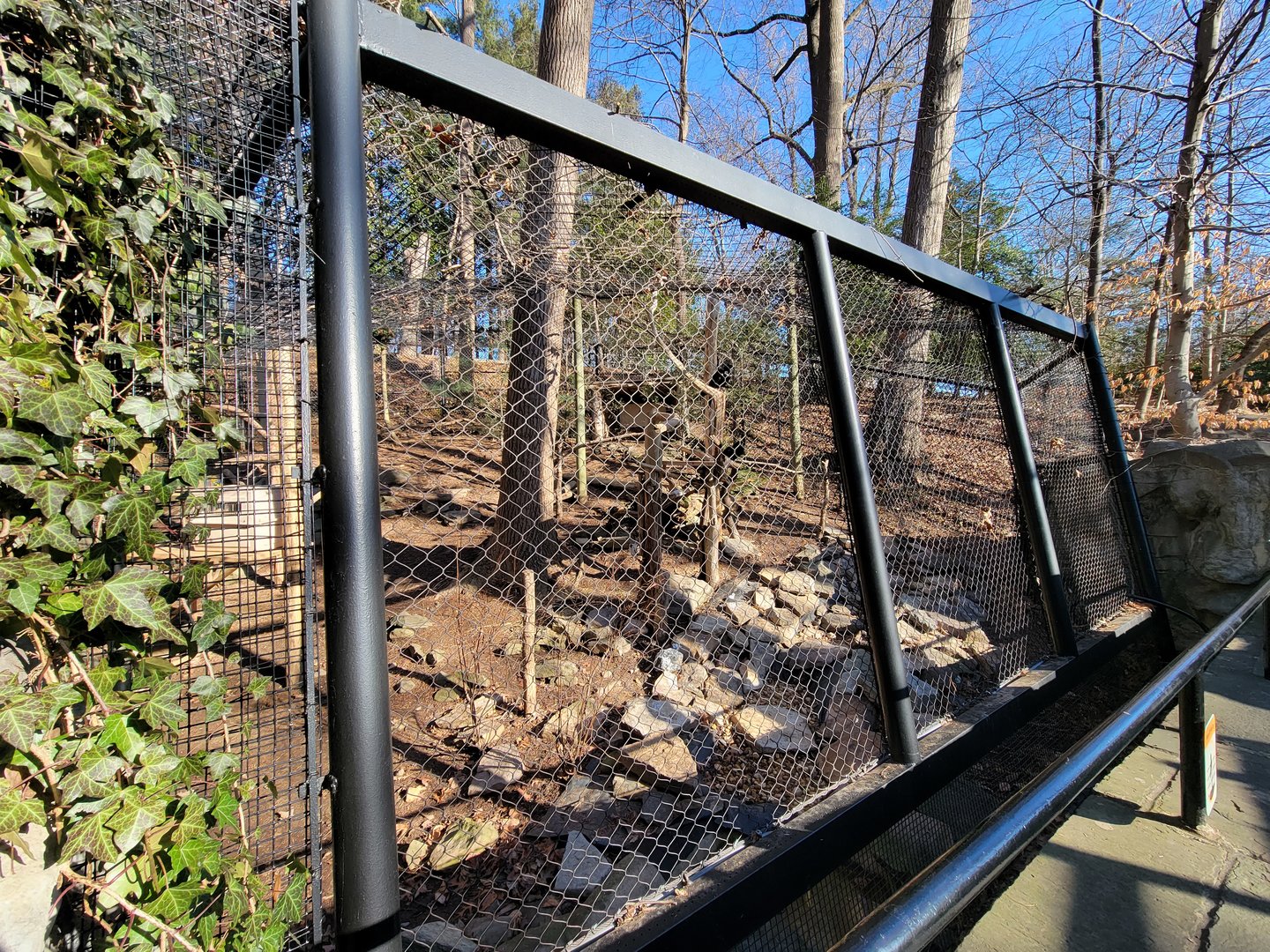 Smithsonian 2/22 - America Trail, ravens