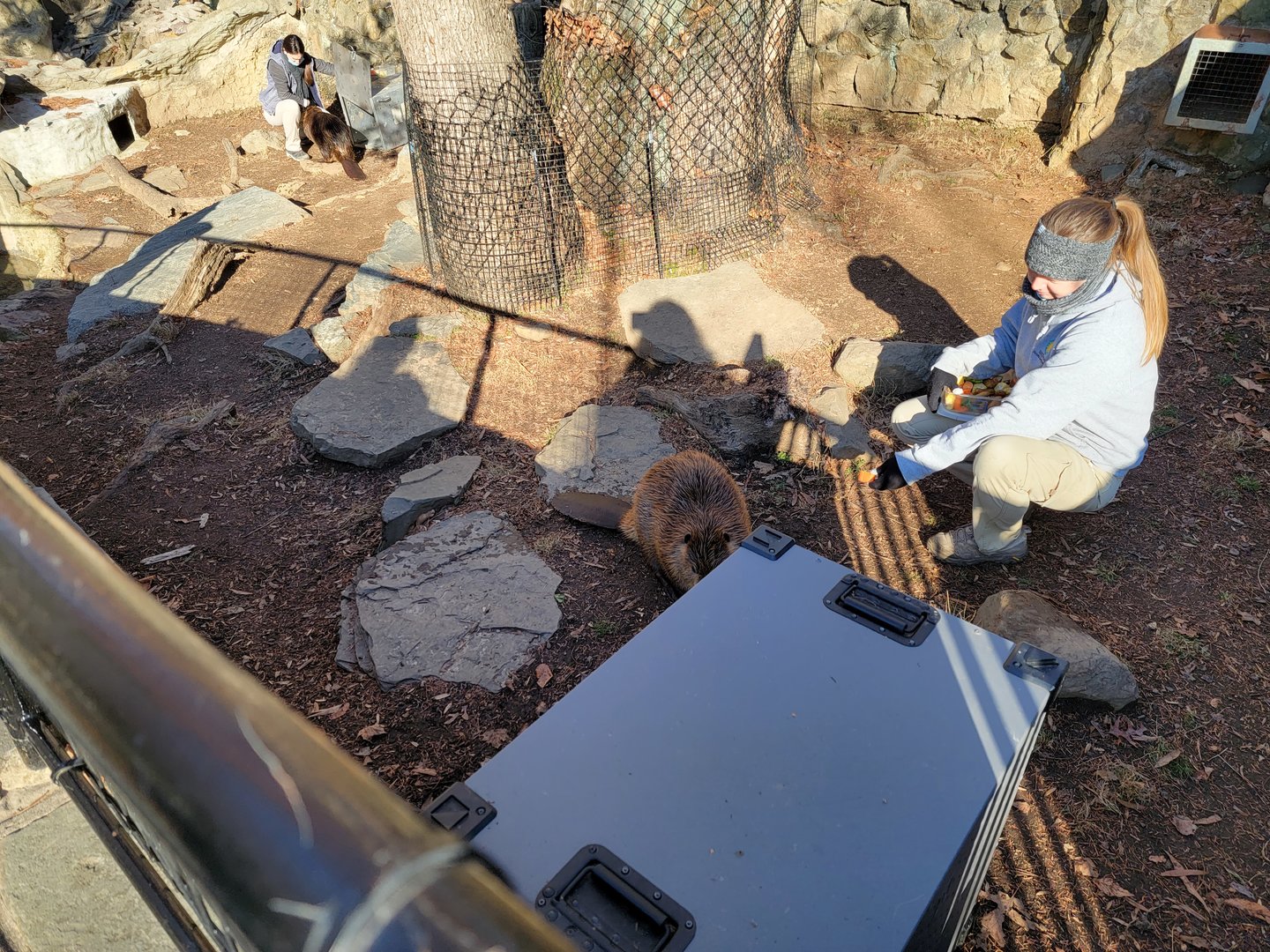 Smithsonian 2/22 - America Trail, trying to catch the beavers