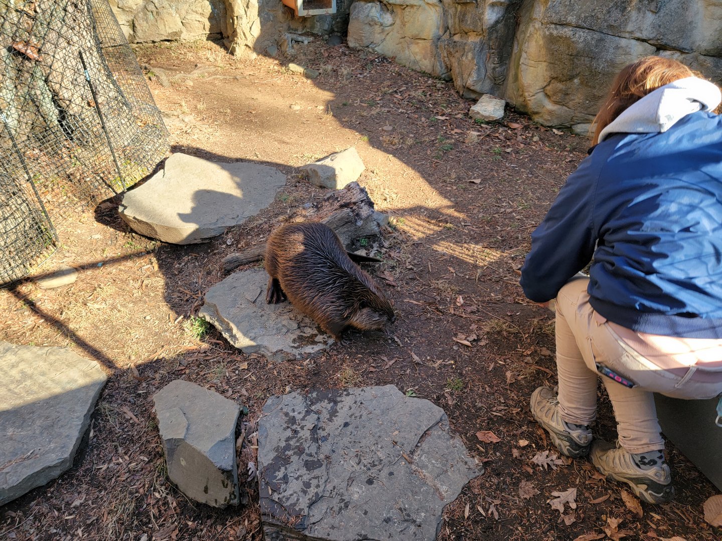Smithsonian 2/22 - America Trail, trying to catch the beavers