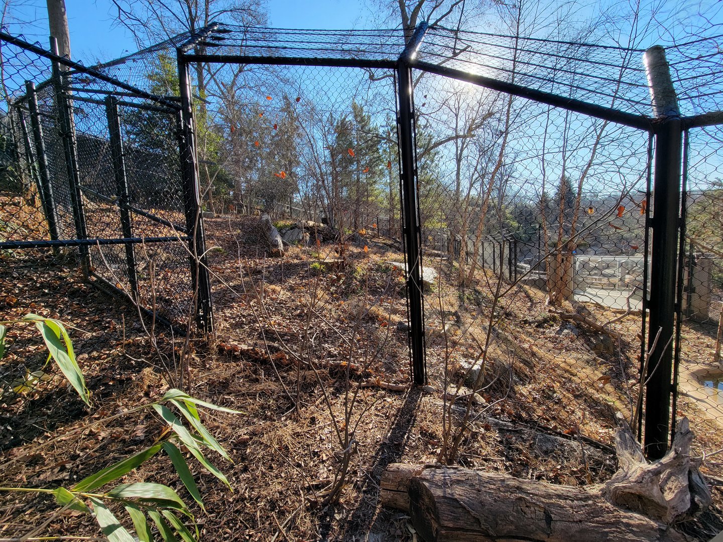 Smithsonian 2/22 - America Trail, Wolves from the side