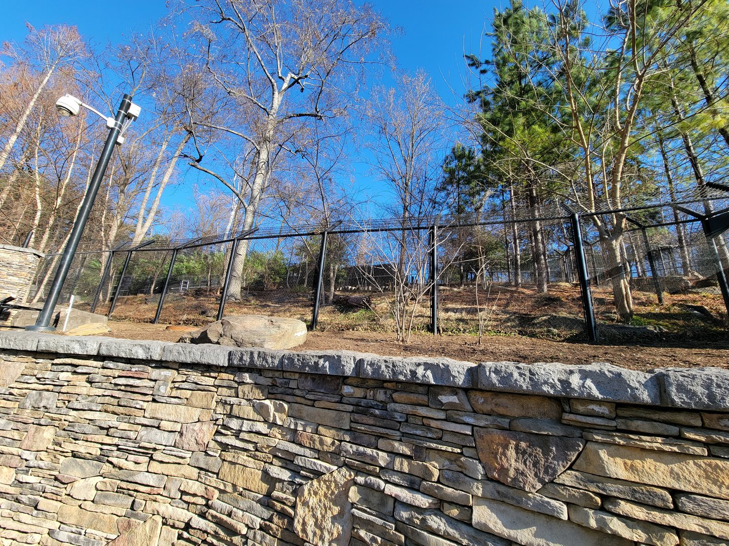 Smithsonian 2/22 - America Trail, wolves