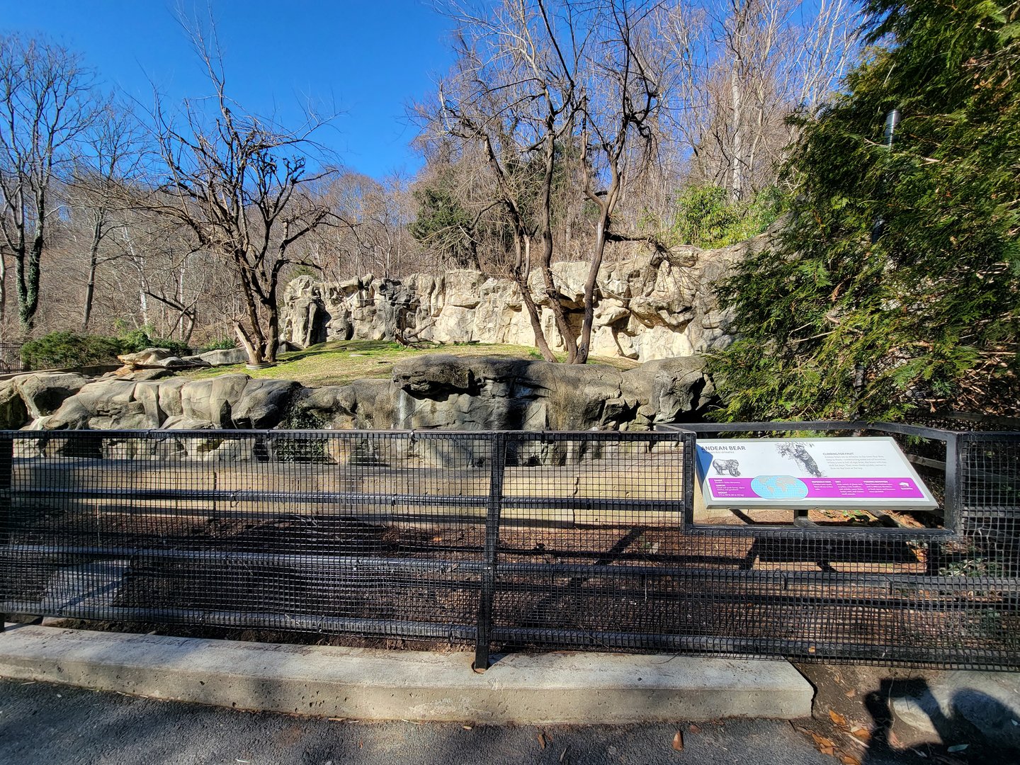 Smithsonian 2/22 - Andean bears