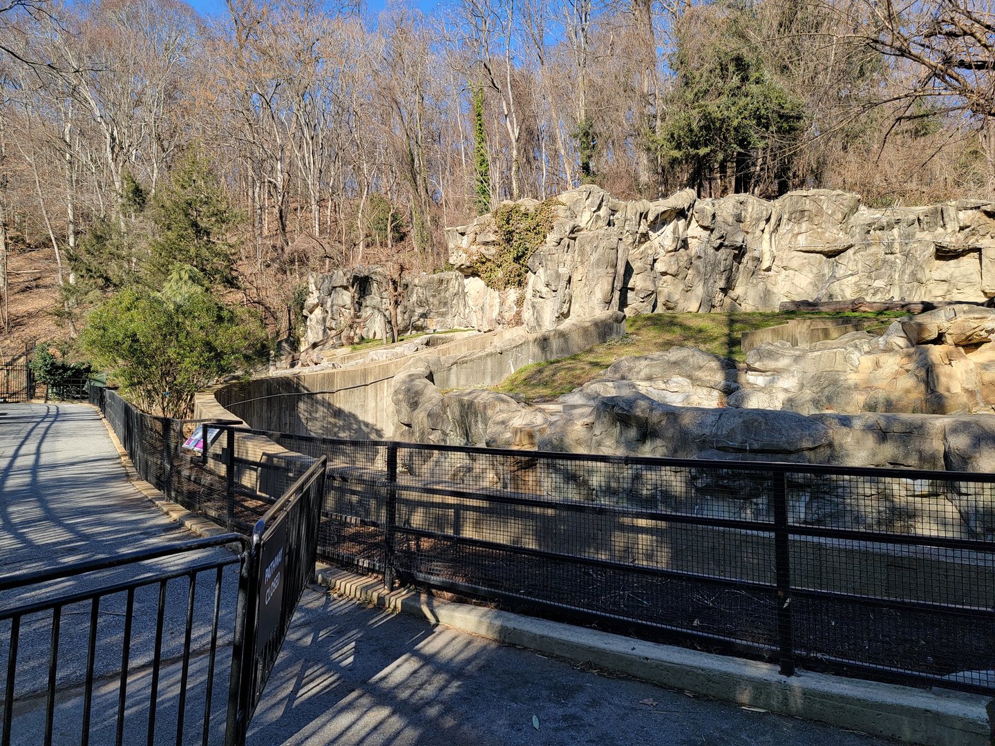 Smithsonian 2/22 - Andean bears