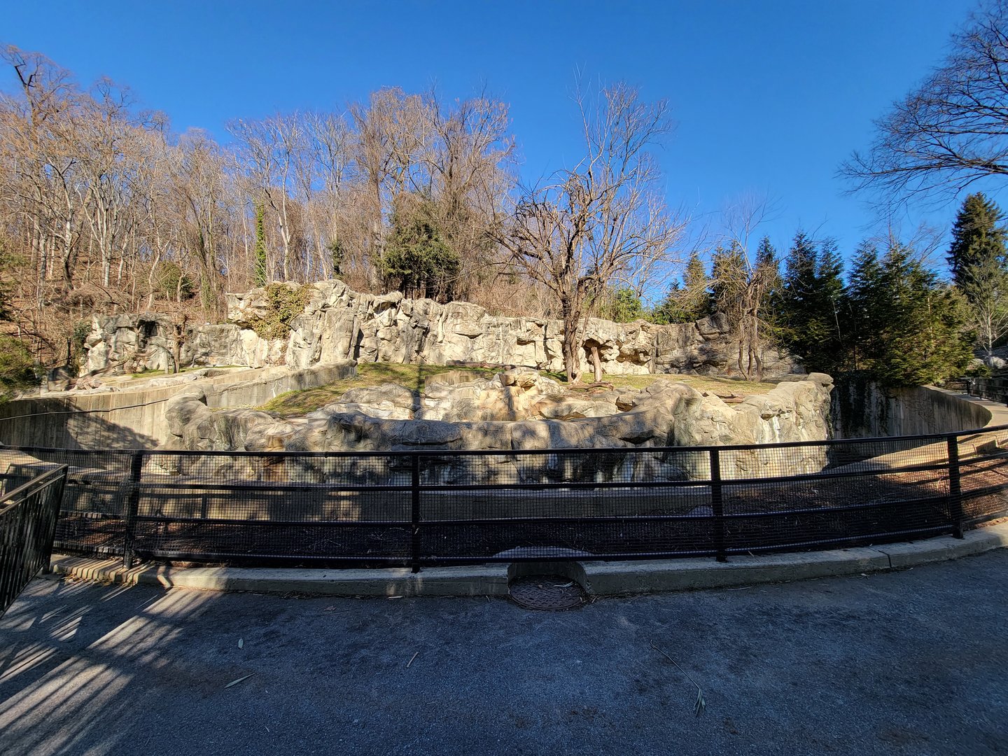 Smithsonian 2/22 - Andean bears