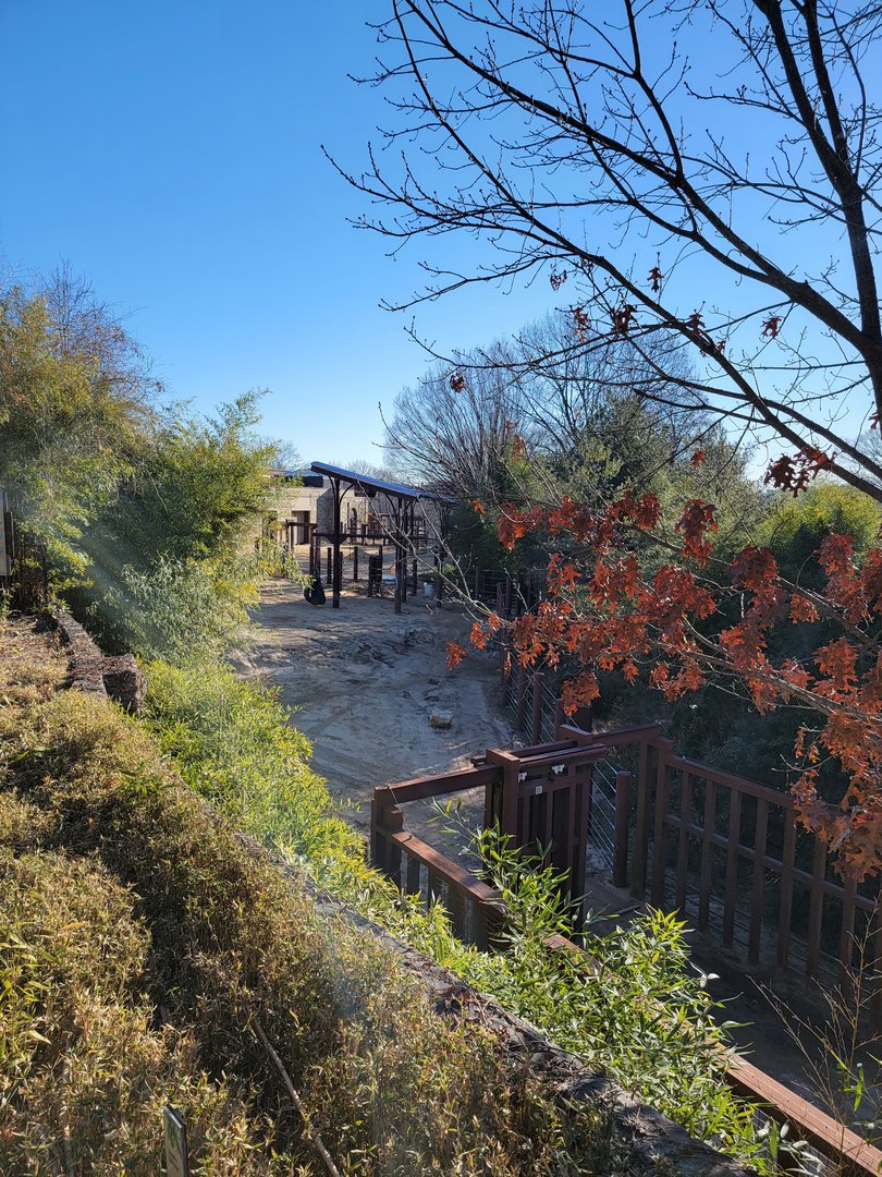 Smithsonian 2/22 - Asia Trail, Asian elephants from above