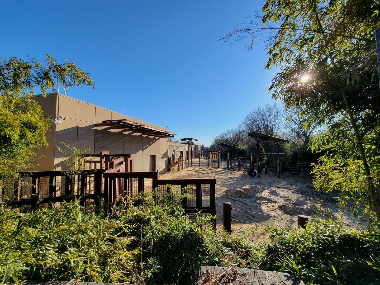 Smithsonian 2/22 - Asia Trail, Asian elephants from above