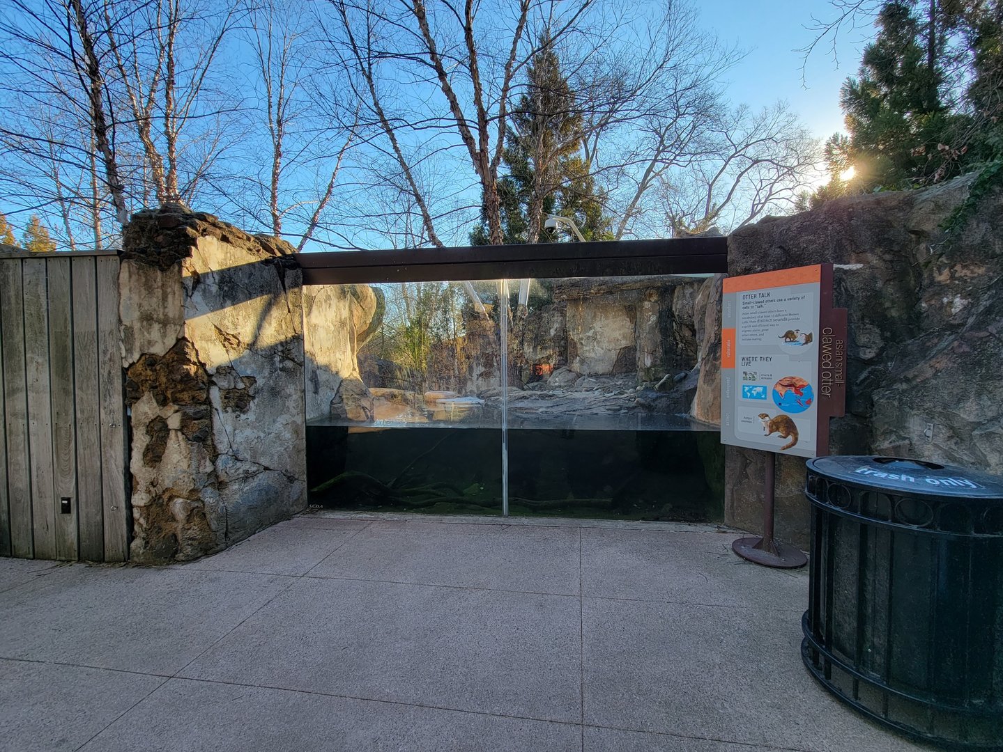 Smithsonian 2/22 - Asia Trail, Asian small-clawed otters