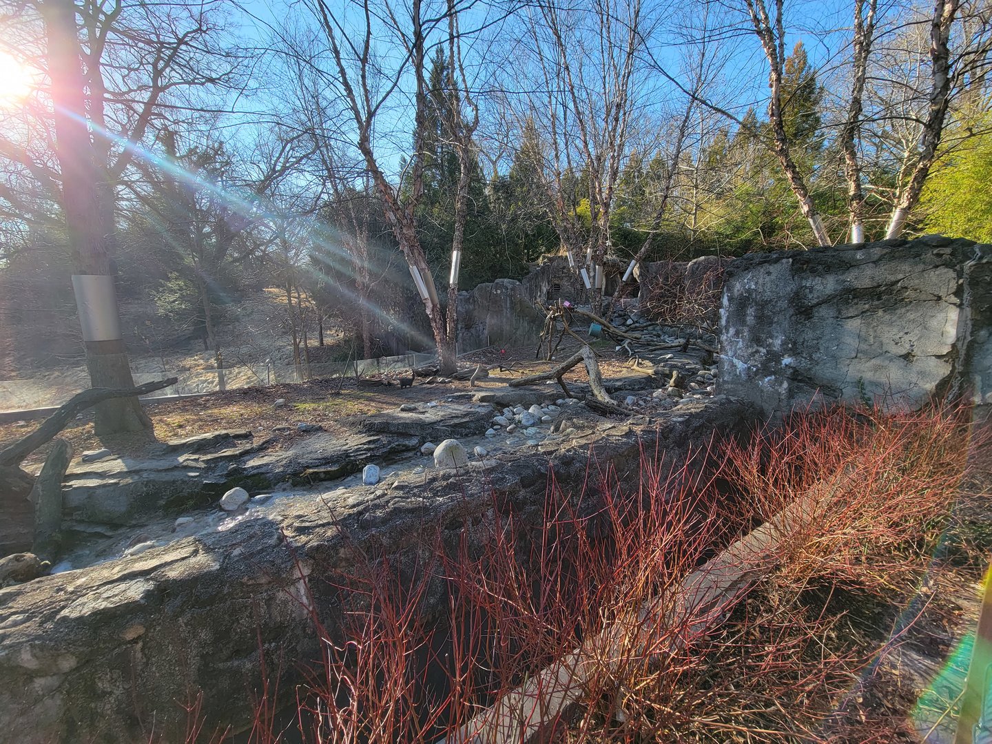 Smithsonian 2/22 - Asia Trail, Asian small-clawed otters