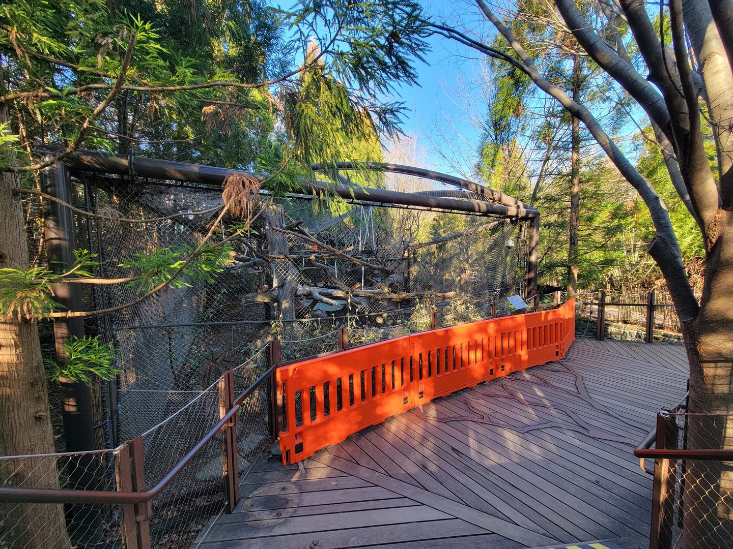 Smithsonian 2/22 - Asia Trail, clouded leopards