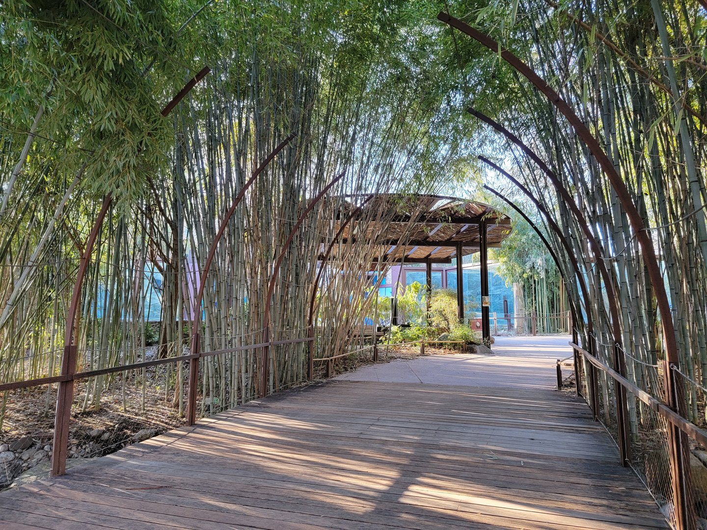 Smithsonian 2/22 - Asia Trail entrance