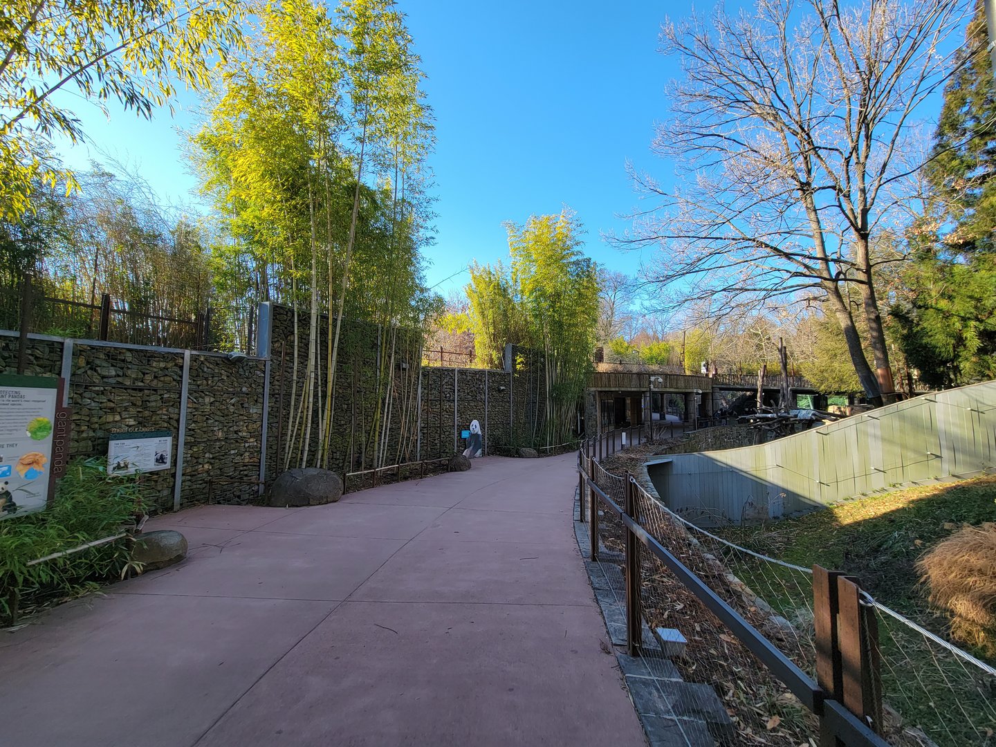 Smithsonian 2/22 - Asia Trail, giant panda ground-level path