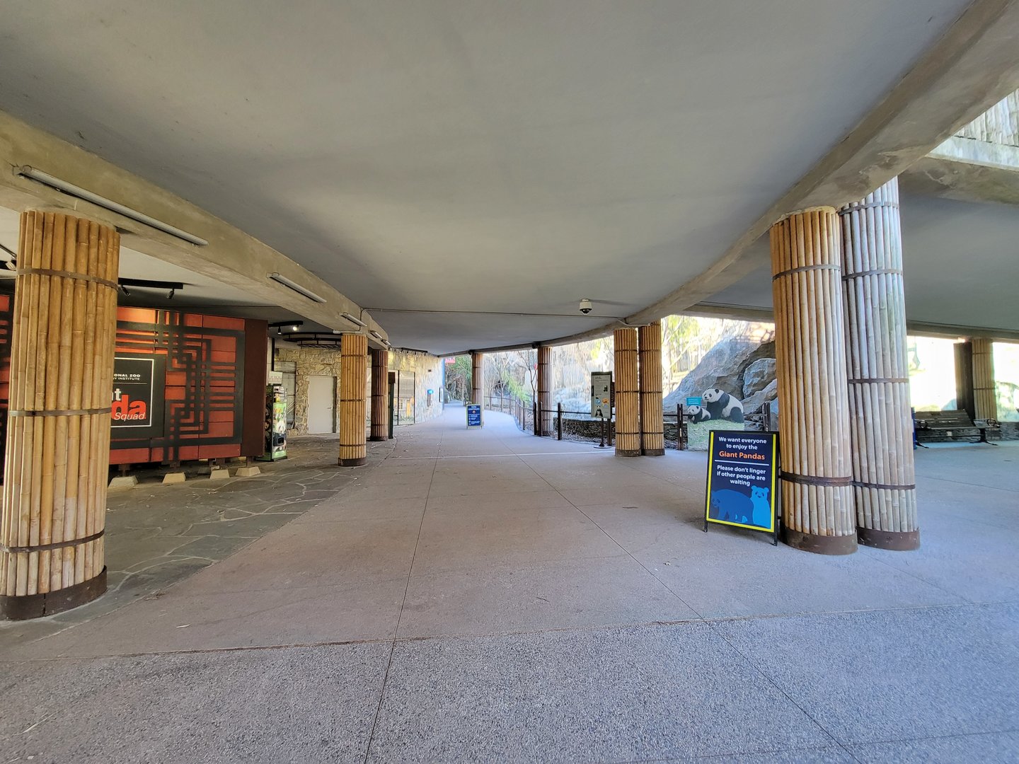 Smithsonian 2/22 - Asia Trail, giant panda pavilion