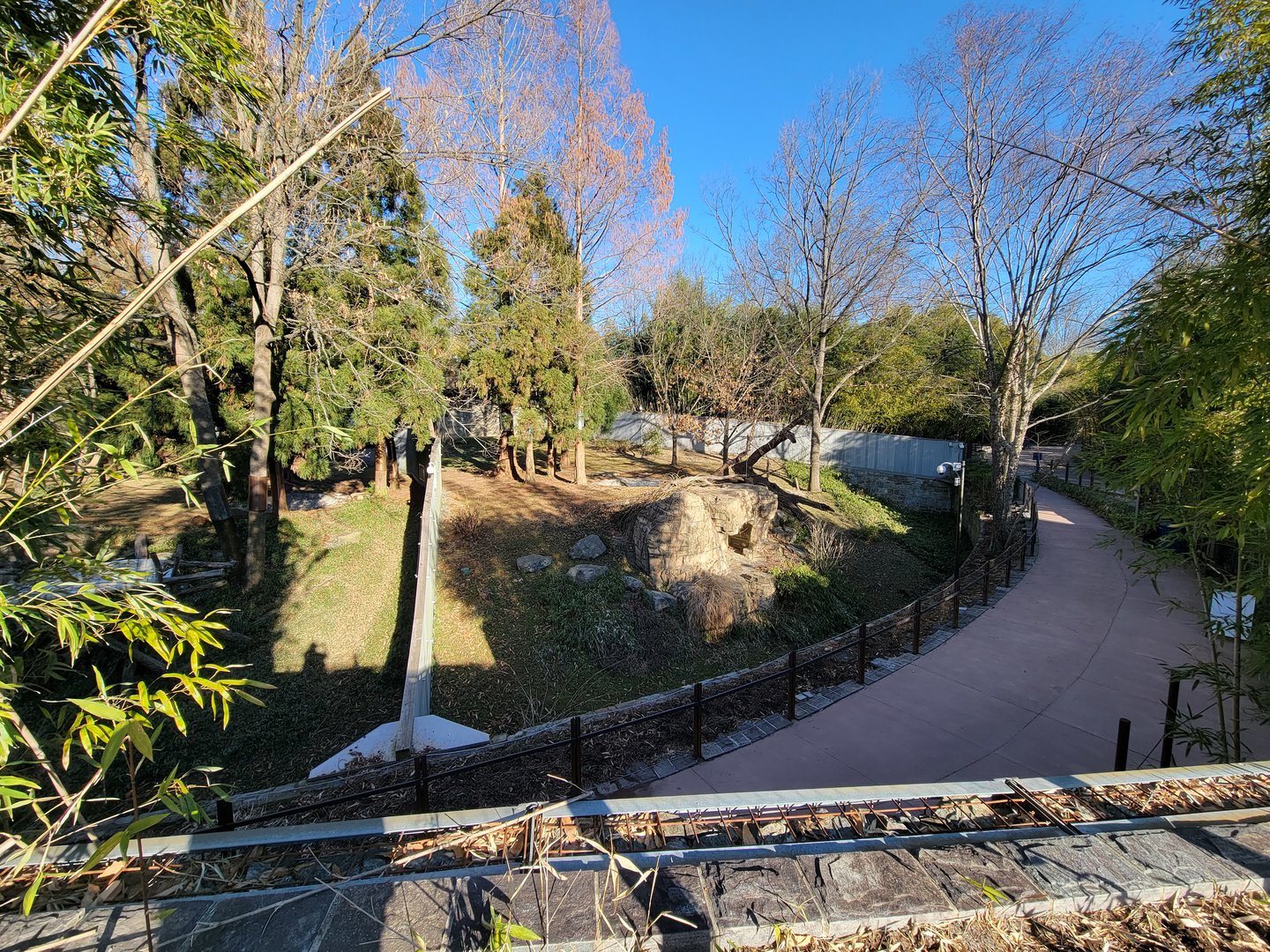 Smithsonian 2/22 - Asia Trail, giant panda right-most yard
