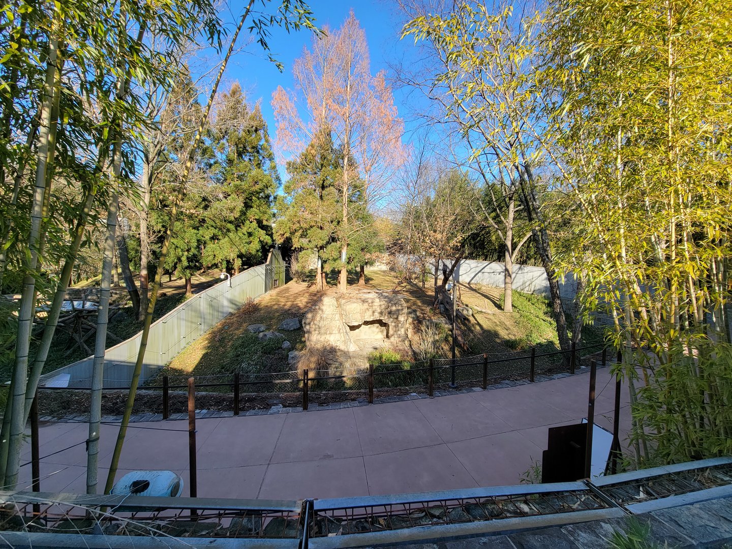 Smithsonian 2/22 - Asia Trail, giant panda right-most yard